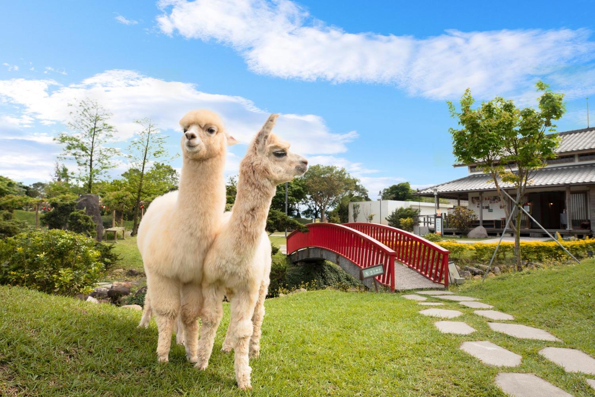 Dancewoods Hotel Wujie Luaran gambar