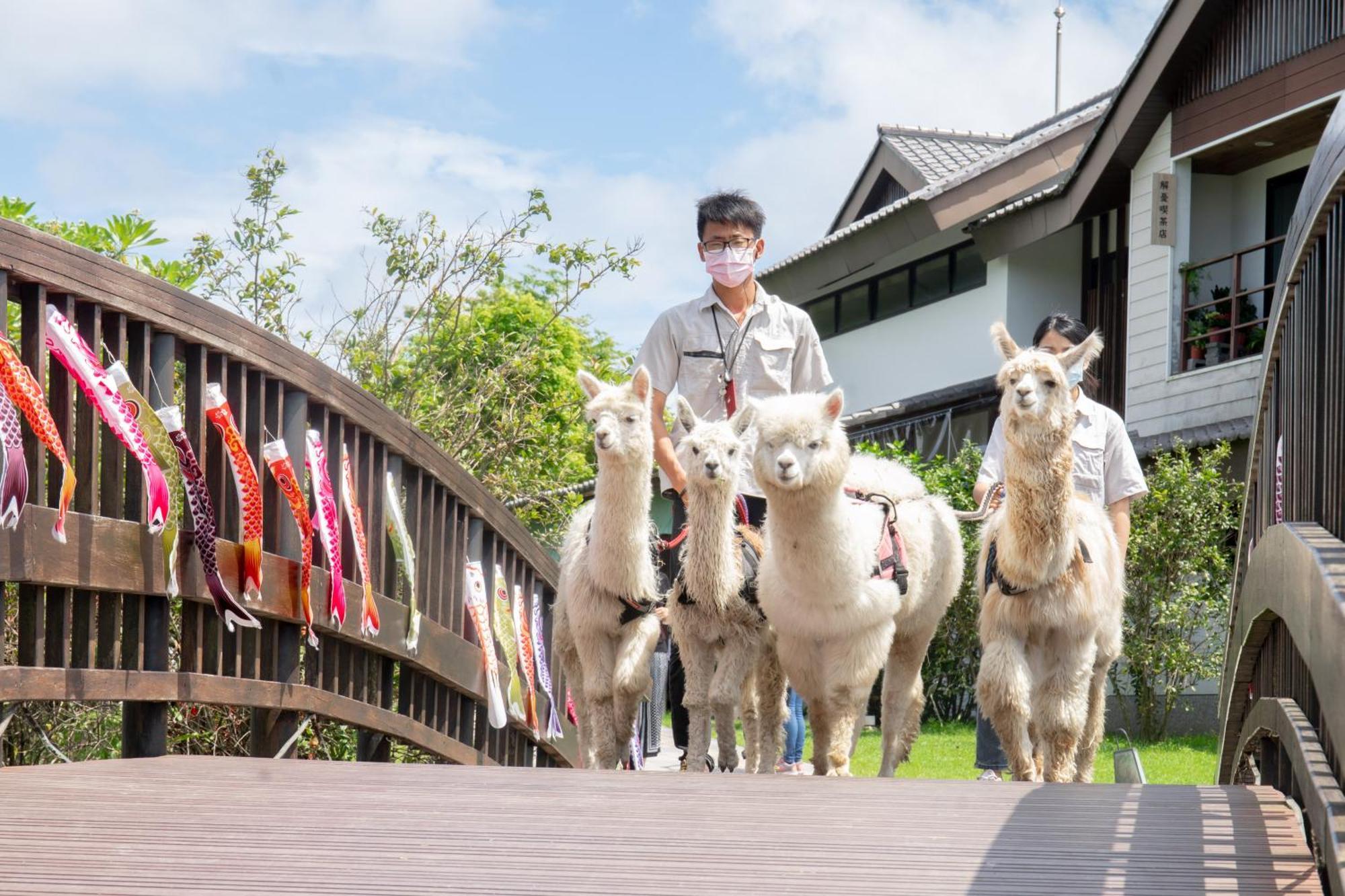 Dancewoods Hotel Wujie Luaran gambar